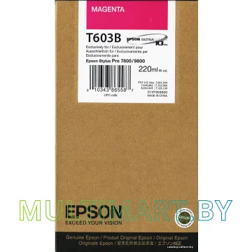 Картридж Epson C13T603B00